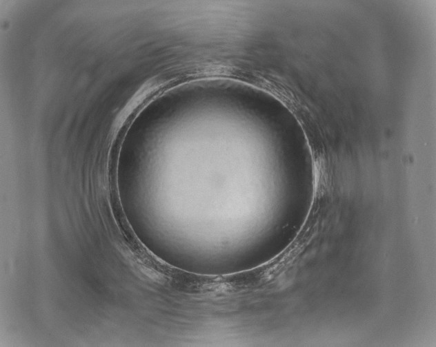X0000076250195200609281148