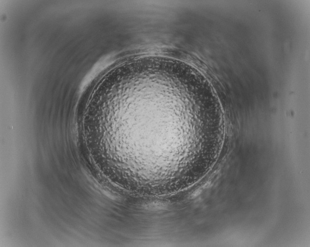 X0000076250198200609281148