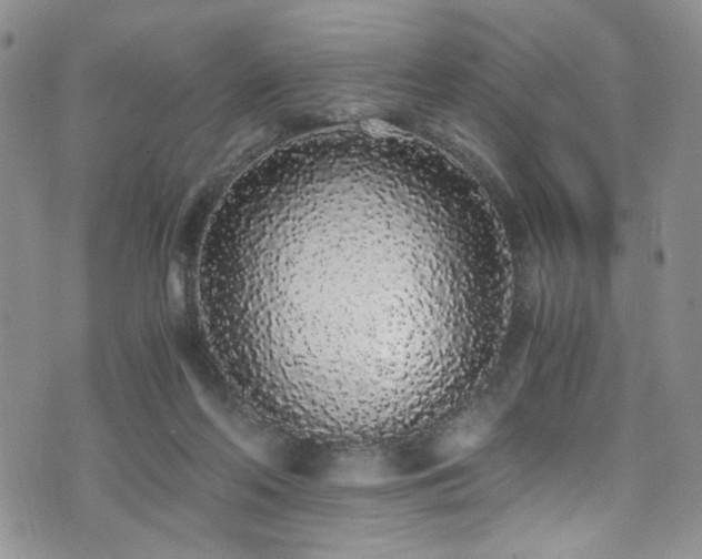 X0000076250214200609281147