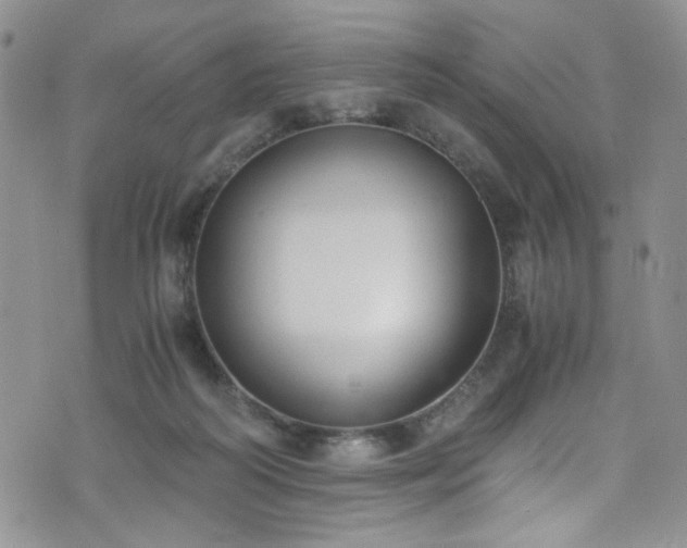 X0000076250218200609281147