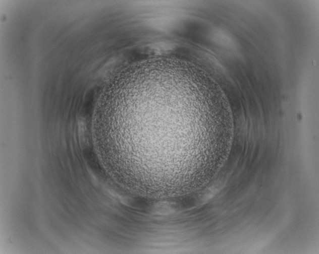 X0000076250222200609281147