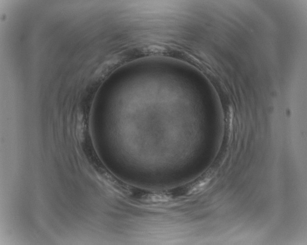 X0000076250223200609281147
