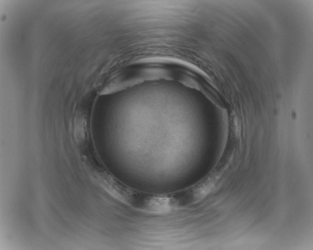 X0000076250227200609281147