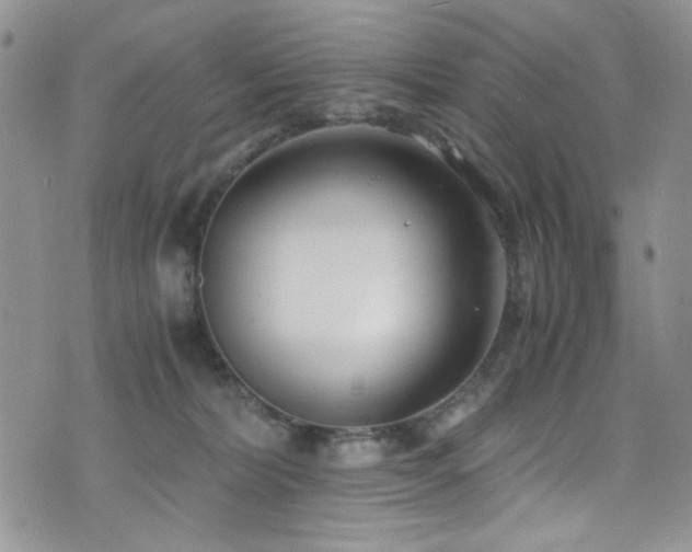 X0000076250228200609281147