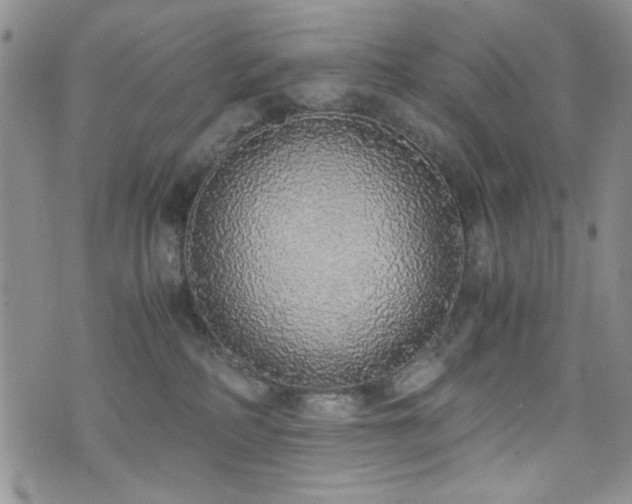 X0000076250234200609281147