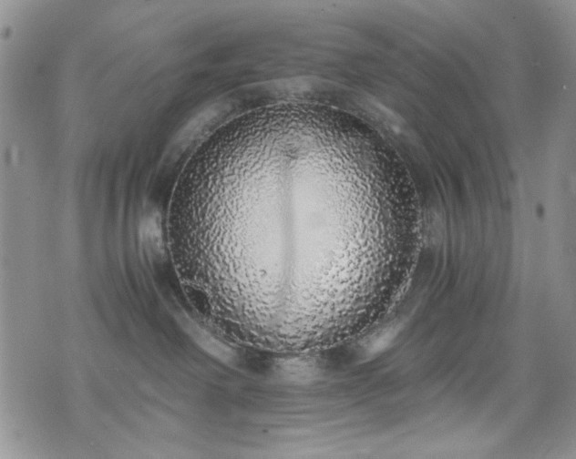 X0000076250238200609281147