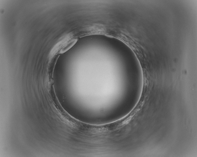 X0000076250245200609281146