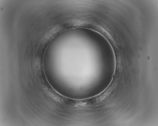 X0000076250257200609281146