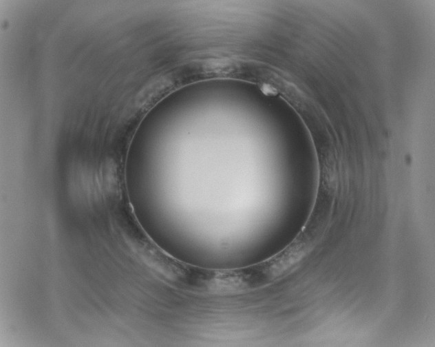 X0000076250270200609281147