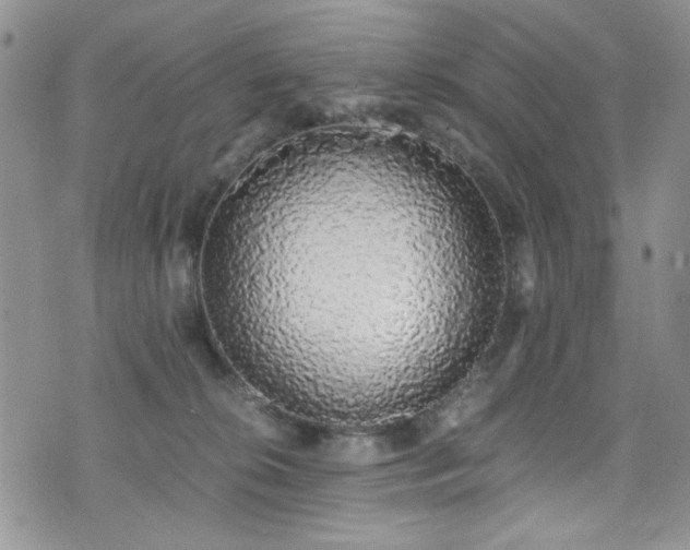 X0000076250276200609281147
