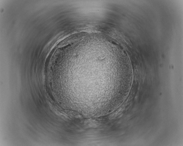 X0000076250290200609281146