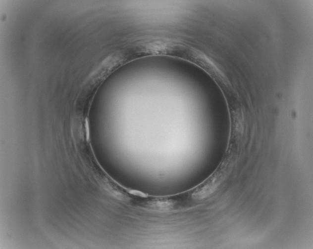 X0000076250313200609281146