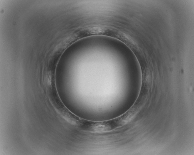 X0000076250315200609281146