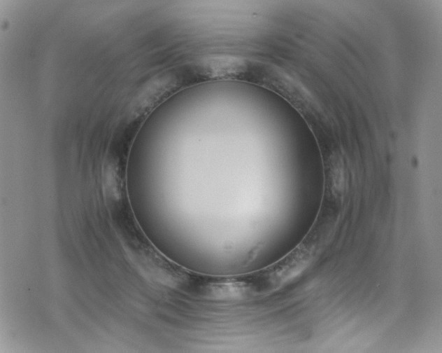 X0000076250316200609281146