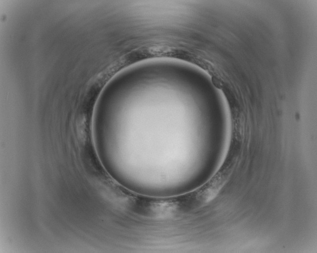 X0000076250319200609281146