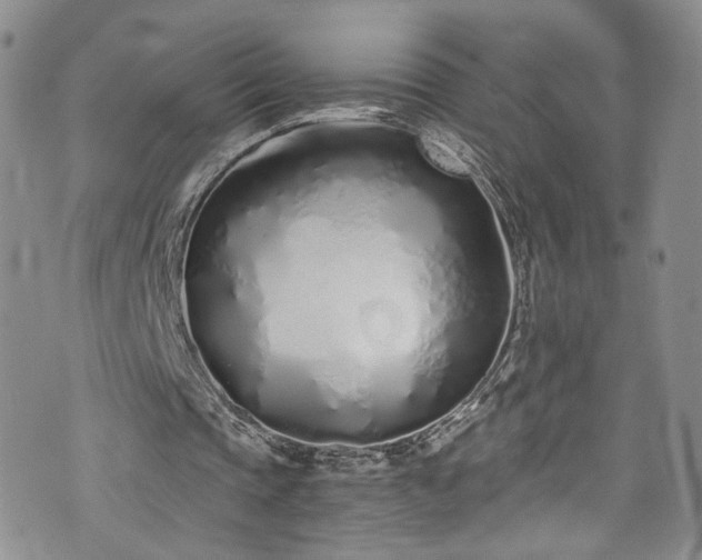 X0000076250337200609281145