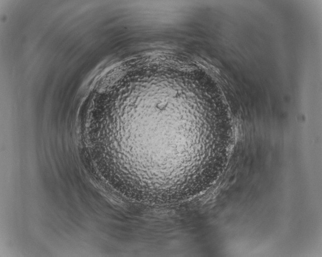 X0000076250339200609281145