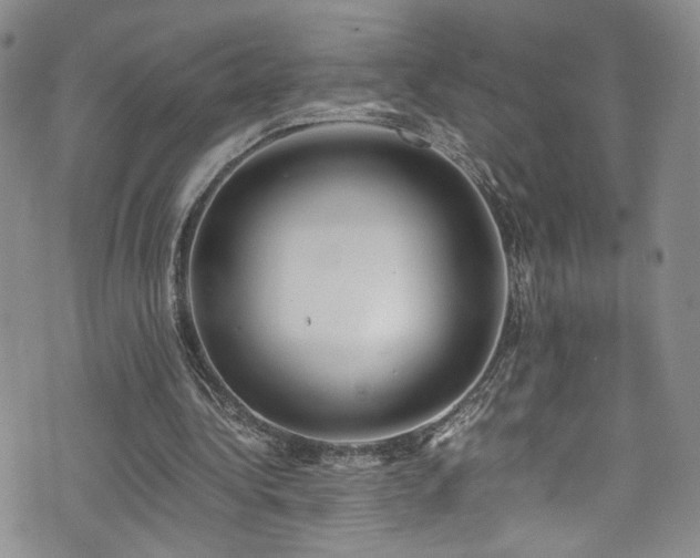 X0000076250340200609281145