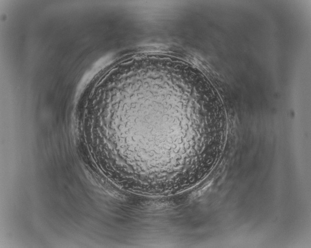 X0000076250343200609281145