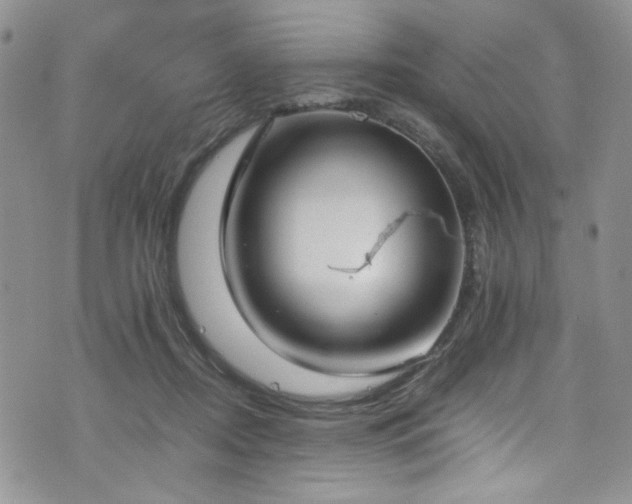 X0000076250362200609281145