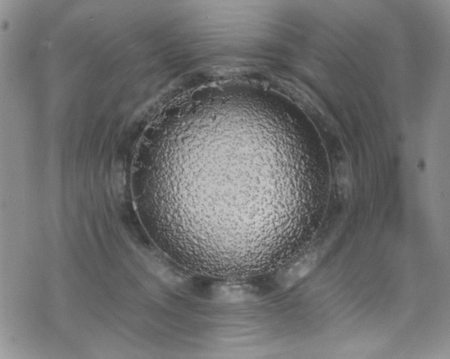 X0000076250372200609281145