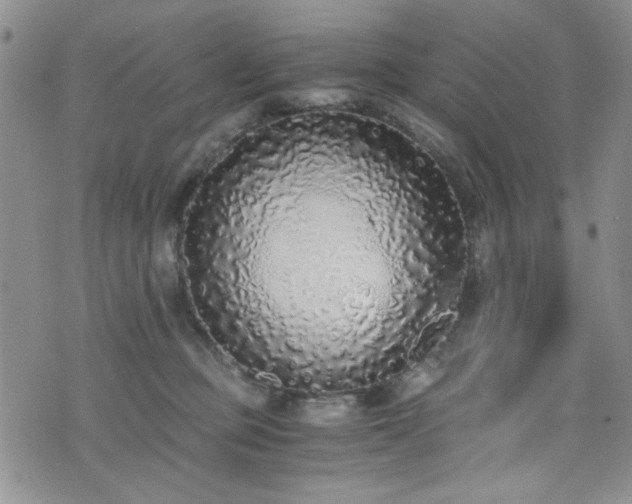 X0000076250373200609281145