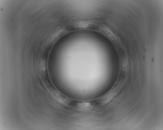 X0000076250374200609281145