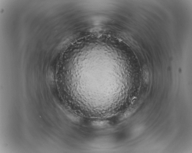 X0000076250375200609281145