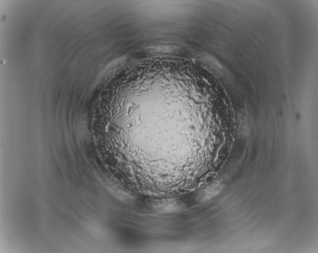 X0000076250377200609281145