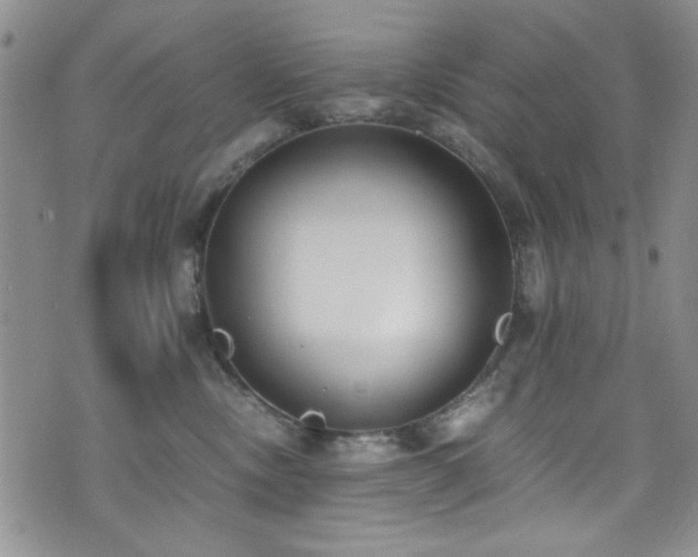X0000076250378200609281145