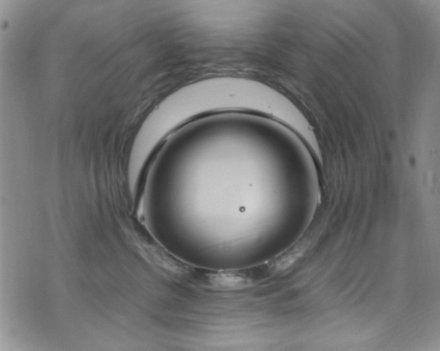 X0000076250380200609281145