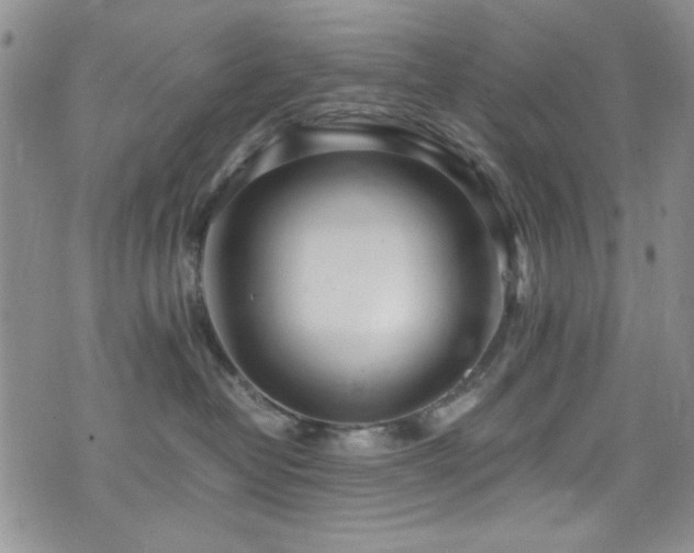 X0000076250382200609281145