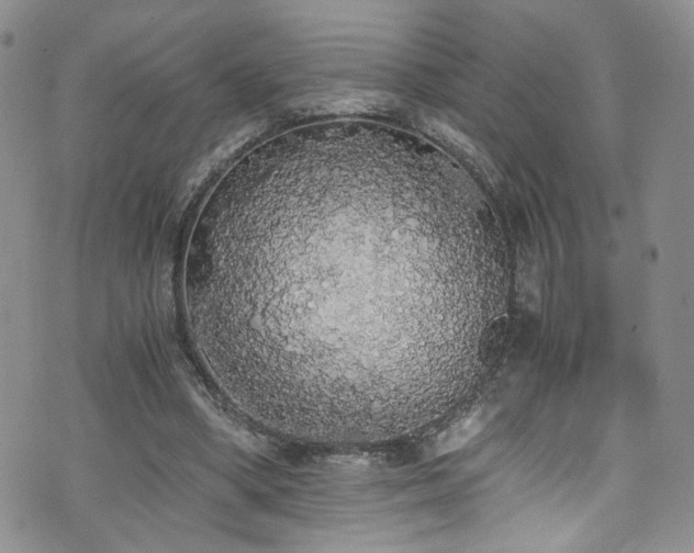 X0000076250394200609281144