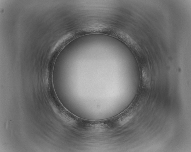X0000076250396200609281144