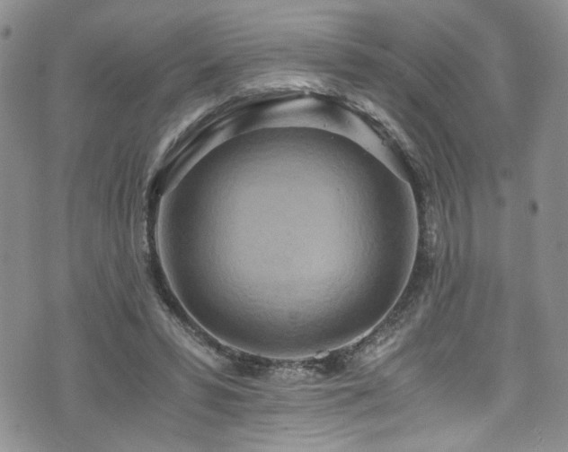 X0000076250399200609281144