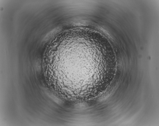 X0000076250402200609281144