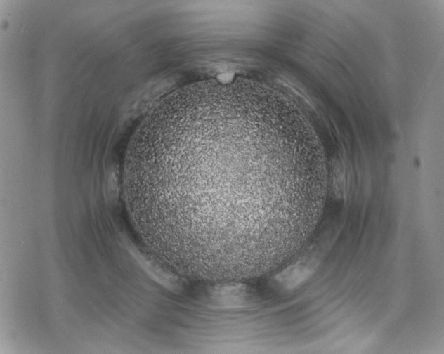 X0000076250410200609281144