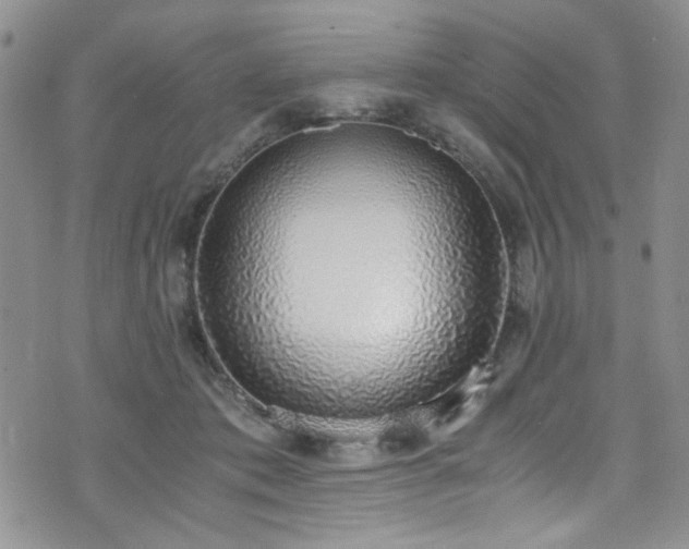 X0000076250413200609281144