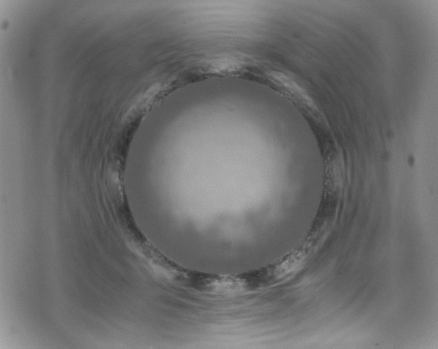 X0000076250415200609281144