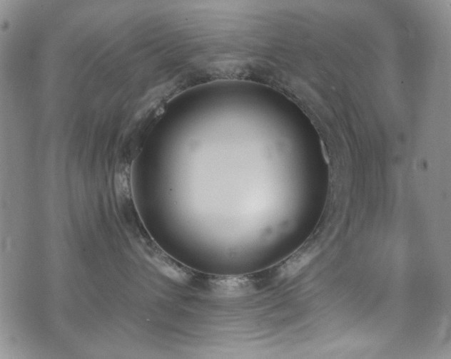 X0000076250432200609281144
