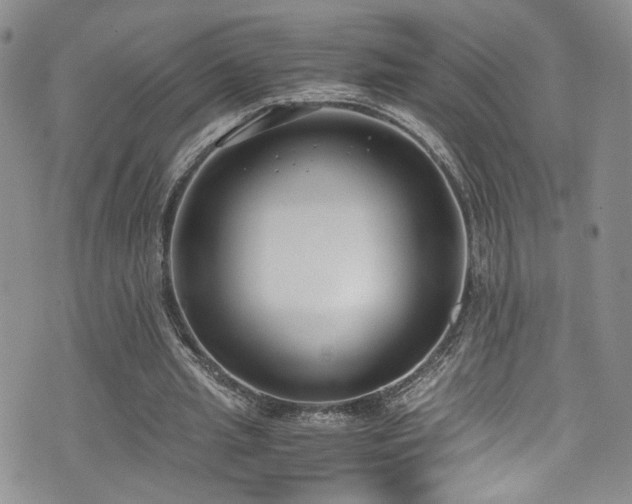 X0000076250437200609281143