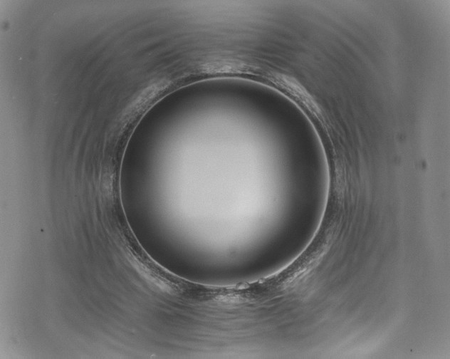 X0000076250441200609281143