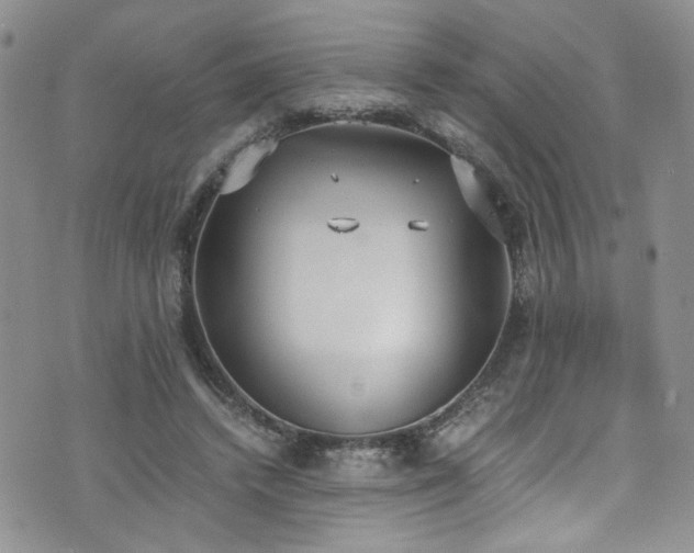 X0000076250448200609281143