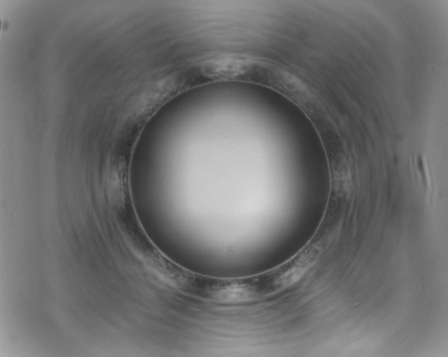 X0000076250460200609281144