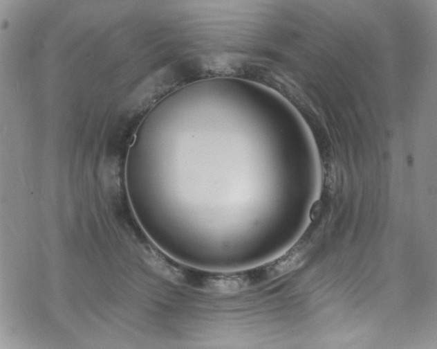 X0000076250466200609281144