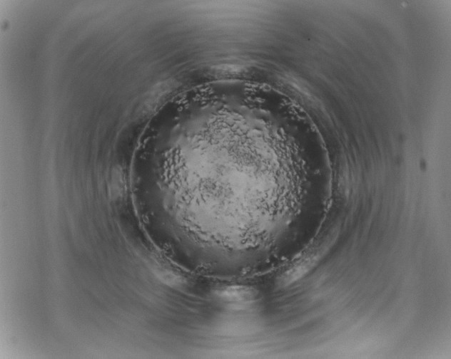 X0000076250467200609281144