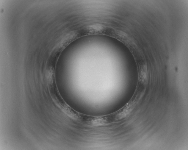 X0000076250468200609281144