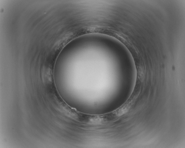 X0000076250470200609281144
