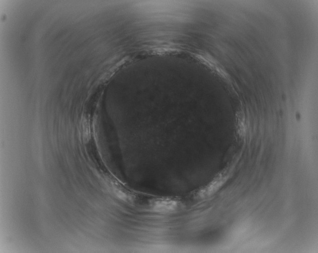 X0000076250471200609281144
