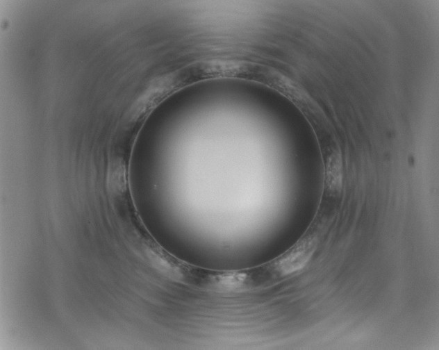 X0000076250474200609281144